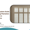 The Complete Guide to Buying Plantation Shutters in Melbourne